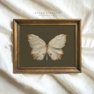 Vintage White Butterfly Print, Dark Moody Insect Printable Wall Art, Cottagecore Sage Green Fall Decor Digital, Antique Moth Painting