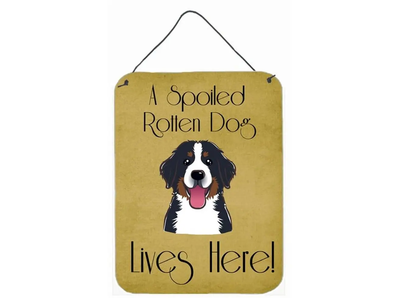 Carolines Treasures BB1485DS1216 Bernese Mountain Dog "Spoiled Dog Lives Here" Aluminium Wall & Door Hanging Decor, Room Decor Print