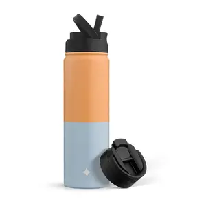 JoyJolt Triple Insulated Water Bottle w Flip Lid & Sport Straw