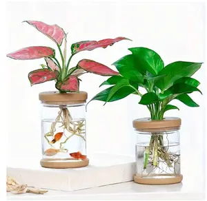 Modern Hydroponic Vase For Green Plants - Transparent Plastic Cylinder, Decorative Flower Pot For Home & Office Desk
