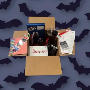 Blind Date with a Book Box - Mystery/Thriller Genre