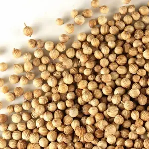 Coriander Seed Whole 125 OZ