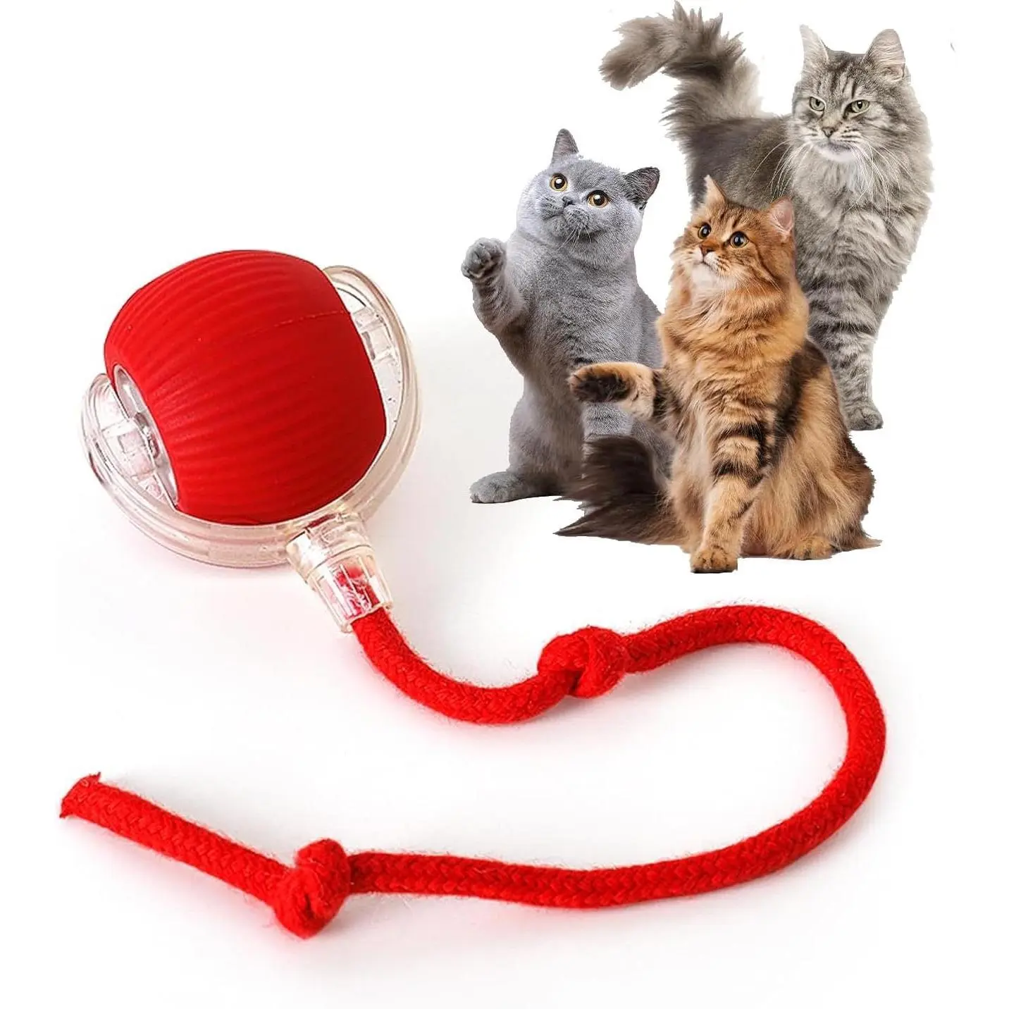 Durable Interactive Cat Toys for Indoor Cats Smart Automatic Cat Chase Ball Toy Automatic Jumping Motion - Boredom Buster & Exercise Toy Upgraded Speedy Tail Toy for Bored Indoor  Pets (Red/Blue/Green)