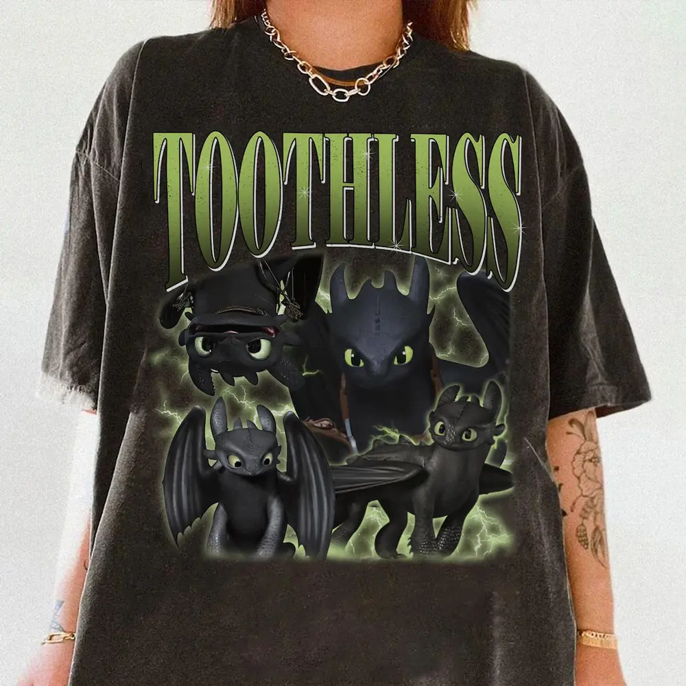 Toothless Shirt, Toothless #Dragon Shirt, How to Train Your #Dragon Shirt, Astrid Night Fury Shirt, Vintage Cartoon, Graphic Tees