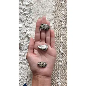 Dalmatian Jasper Daily Stone