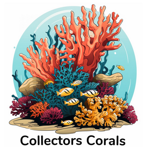 collectorscorals