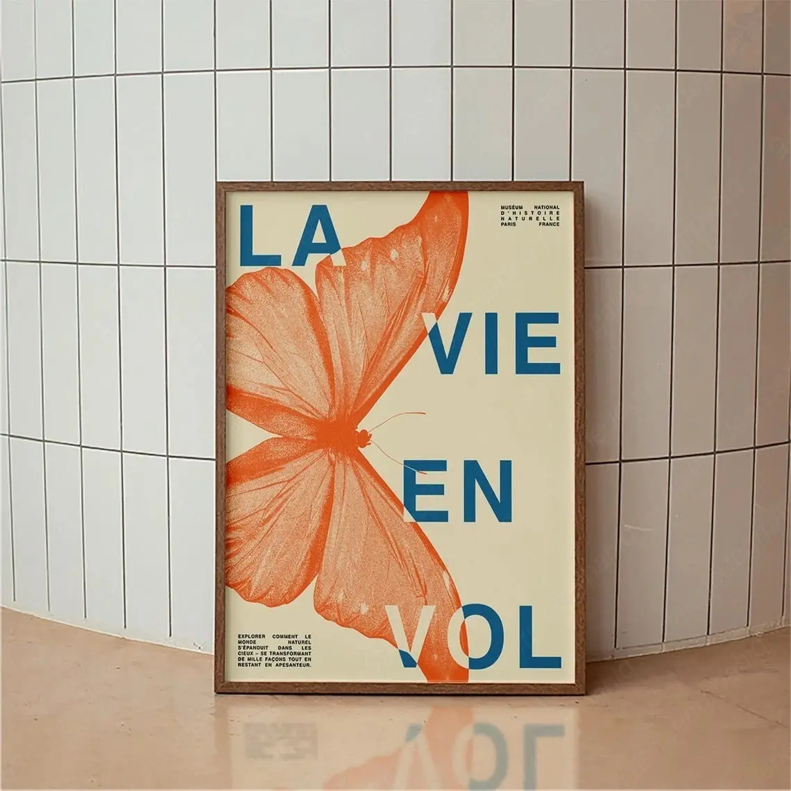 La Vie En Vol Vintage French Butterfly Wall Art Poster