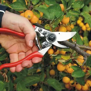 Felco F-15 Pruning Shears – 10.6" Garden Clippers with Dual-Hand Use & 30mm Cut | Hand Pruners for Gardening | Garden Tool Cutter with Bypass & Anvil Blades, Forged Aluminum Handle, Large Hand Fit