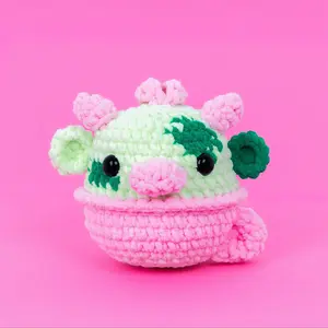 Moocha Kit Moocha Kit