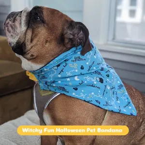 Witchy Fun Halloween Pet Bandana