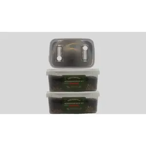 2-Pack CVG Mushroom Grow-Tub kit (1200ml All-in-One)