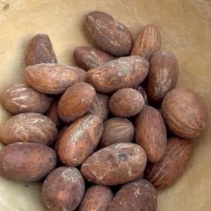 Bitter Cola/ Kola Nuts/ Petit Cola