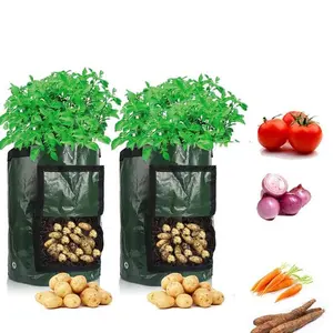 Vegetable Planting Growth Bag, 3 Counts Breathable Planting Bag with Window, Garden Supplies for Home Garden, Garden Accessories, Non-woven Fabric Pot