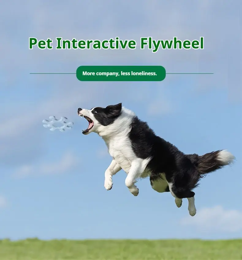 Pet Interactive Flywheel Dog Frisbee Toy