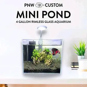 PNW Custom Mini Pond 4 Gallon Rimless Glass Aquarium Perfect for Shrimp Betta Desktop Aquatic Habitat and Breeding