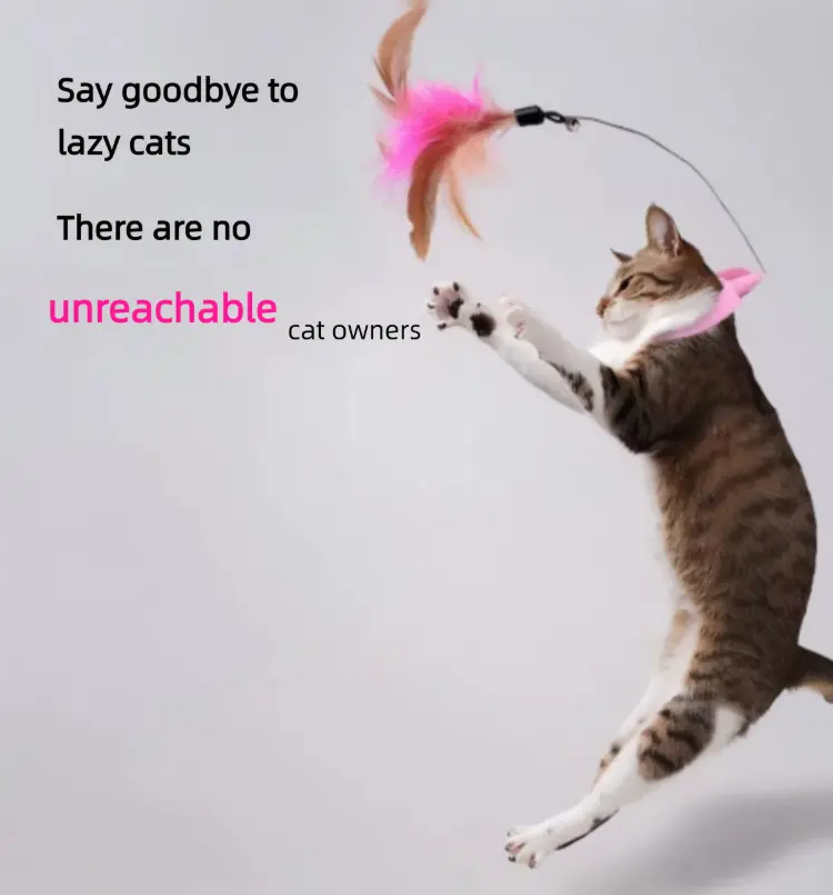 Manufacturer-Direct Collar-Mounted Cat Interactive Toy, Durable Feather-and-Bell Design, Self-Entertaining Boredom-Reliever, Pet Supply