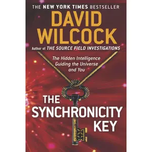 The Synchronicity Key: The Hidden Intelligence Guiding the Universe and You -- David Wilcock - Paperback