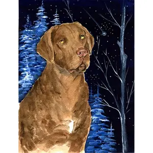 Carolines Treasures  Starry Night Chesapeake Bay Retriever Flag - Garden Size- 11 x 15 in.
