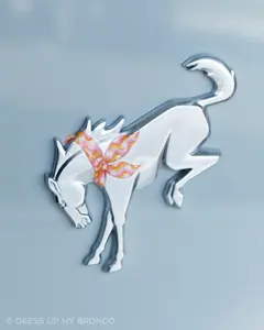 Sunshine Mode — Bronco Rear Emblem Bandana