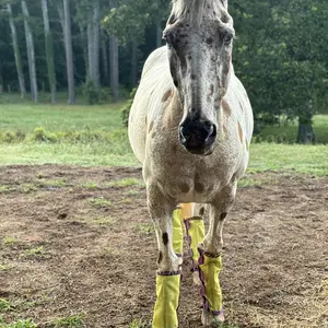 Harrison Howard Fleece Trim Fly Boots – Stylish Pattern, Ultimate Comfort