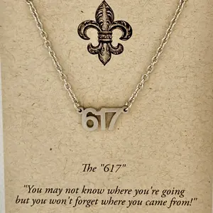 The "617" Necklace/ Boston - Boston Theme Iconic "617" Code Stainless Steel 16" Chain with 2" Extender for Boston Enthusiasts