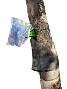 We Do It Outdoors | Spotted Lanternfly Circle Trap | No Pesticides or harmful chemicals | Safe for native wildlife