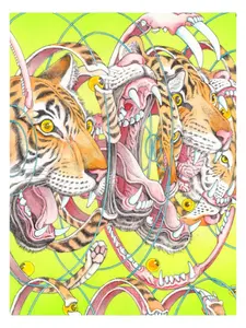 Popkiller Artist Series Shintaro Kago Tiger Factorization Poster