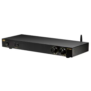 2 Channel 100W Per Channel, Class D Stereo Amplifier
