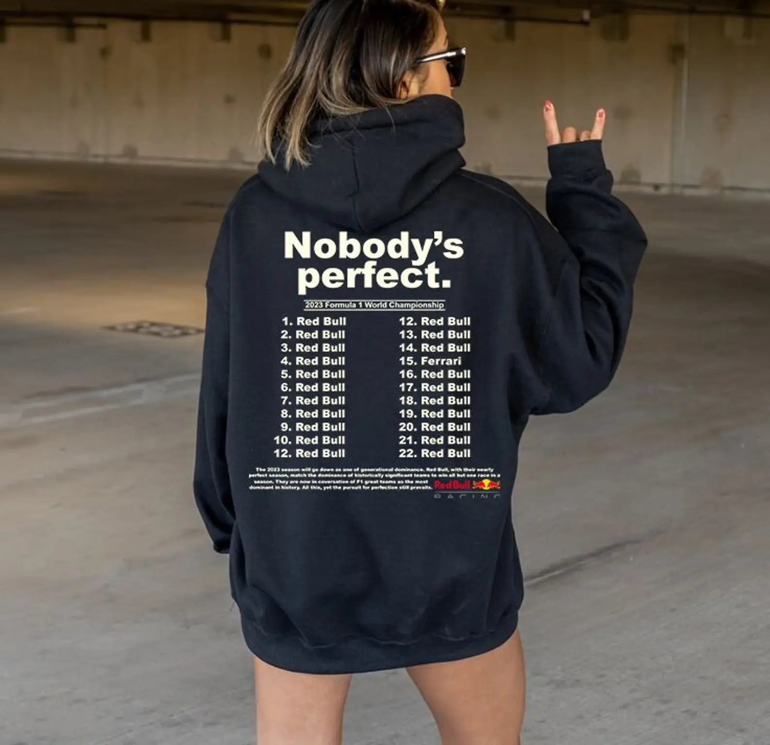 RB "Nobody's Perfect" Shirt Shirtt Hoodie Sweatshirt