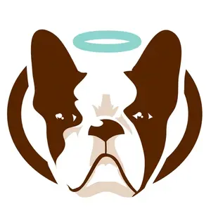 background preload poster image 