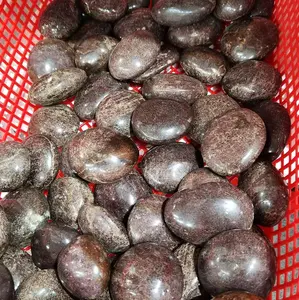 Garnet Palm Stone