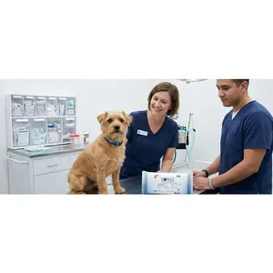 Vet-Safe Disinfecting Wipes - 80ct Soft Pack (Alcohol-Free & Surface Safe)