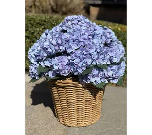 Simply Stunning Jumbo Bloom Hydrangea Urn Filler by Janine Graff