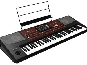 Korg Pa700 61-Key Arranger Workstation, Professional Musical Instrument for Keyboard & Piano Enthusiasts