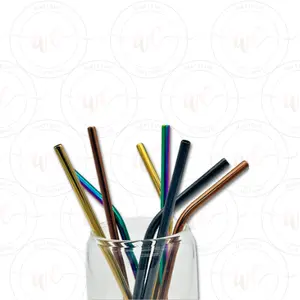 Colored Stainless Steel Straw Set