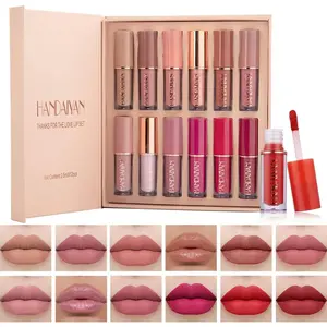 Handaiyan 12 Colors Matte Lipstick Set, Long-Lasting Waterproof Hydrating Liquid Lip Gloss, Moisturizing Lip Liner Kit, Women's Makeup Gift