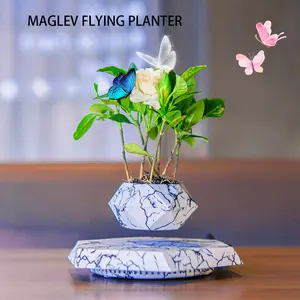 Magnetic Levitating Planter Floating Plant pot  Levitating Plant Pot, Floating Plant Pot For Small Plants, Magnetic Rotating Air Bonsai Planter, Floating Planter, Bonsai Pot, Unique Decor Air Plant Pot For Gift