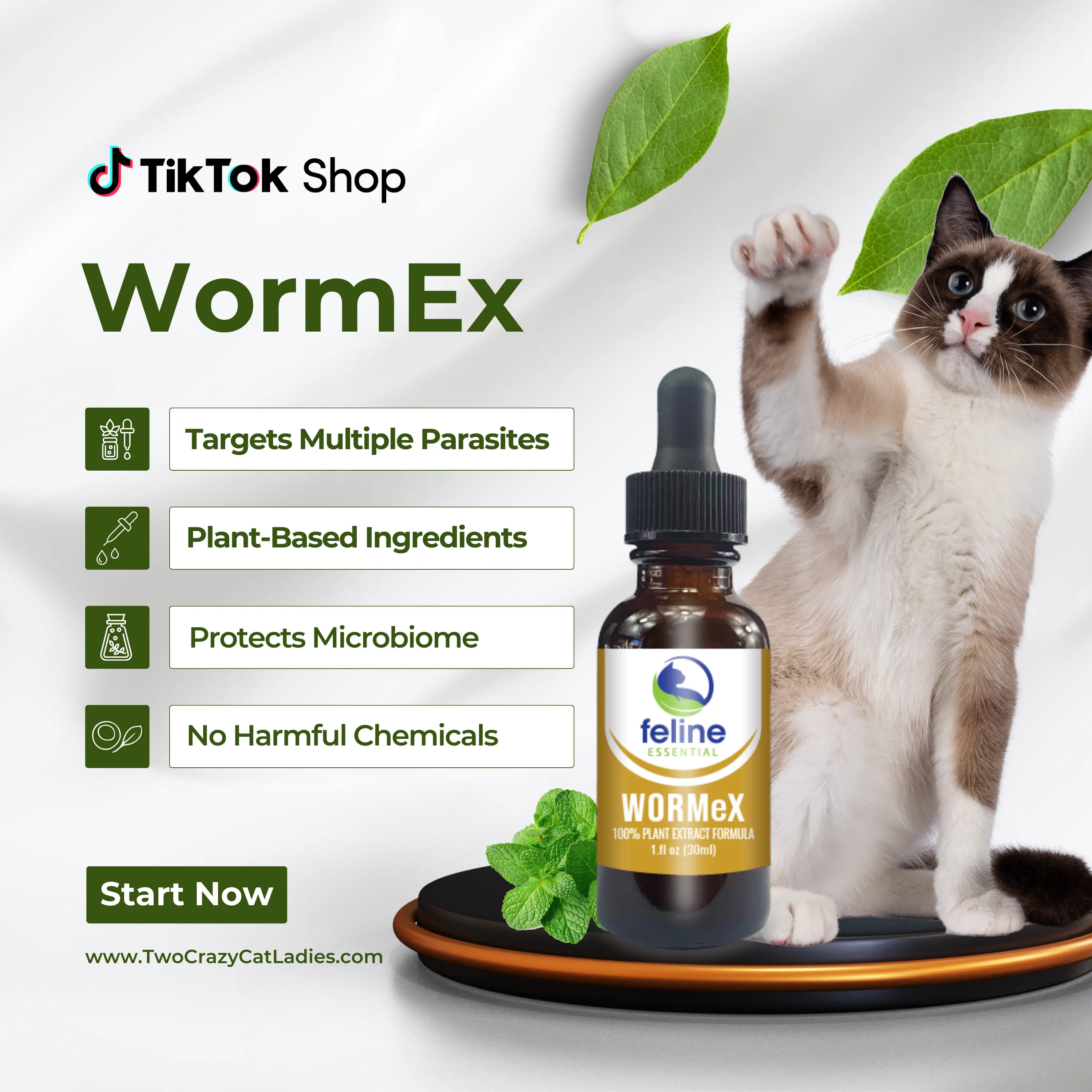 Feline Essential WormeX | Herbal Digestive & Gut Environment Support