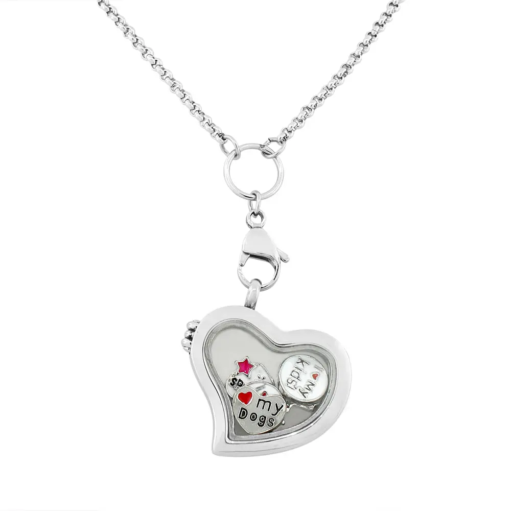 Stainless Steel Heart Locket Necklace for Women, Casual Magnetic Pendant with Floating Charms for Photos, Adjustable Link Chain, Female, Thick Glass, Gift Idea, Chain & Link, 1.10In (W), 0.25In (Thickness), 24-26In, Charms Included