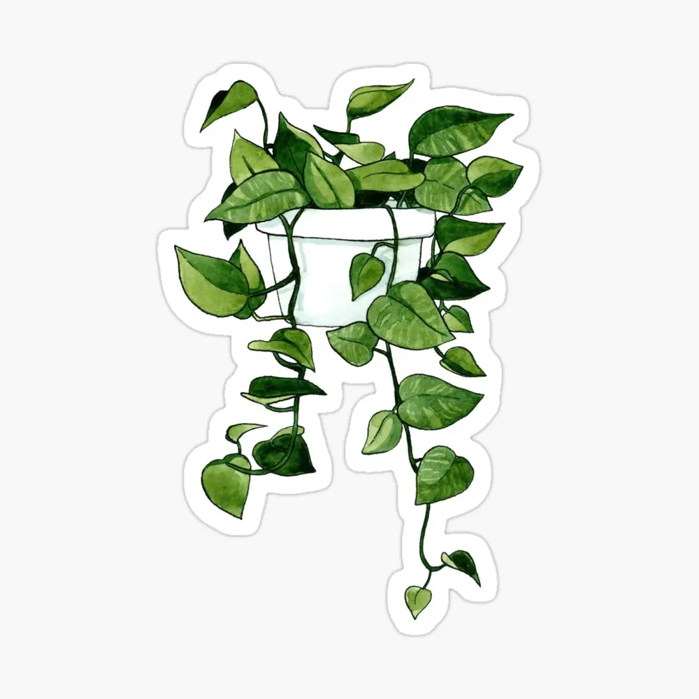 Golden Pothos Plant Sticker – 3 Inch Botanical Vinyl Decal for Car, Laptop & Phone