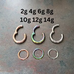 2g 4g 6g 8g Hinged Clicker Segment Ring Hoop Earring Ear Rainbow Rose Gold Steel Big Large Gauge Septum Stretching Kit Piercing 10g 12g 14g