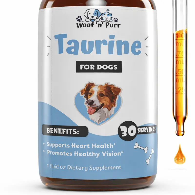l carnitine 3000 australia dog ketones in
