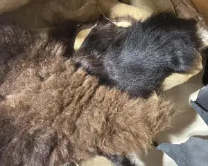 American Bison Scraps By The Pound