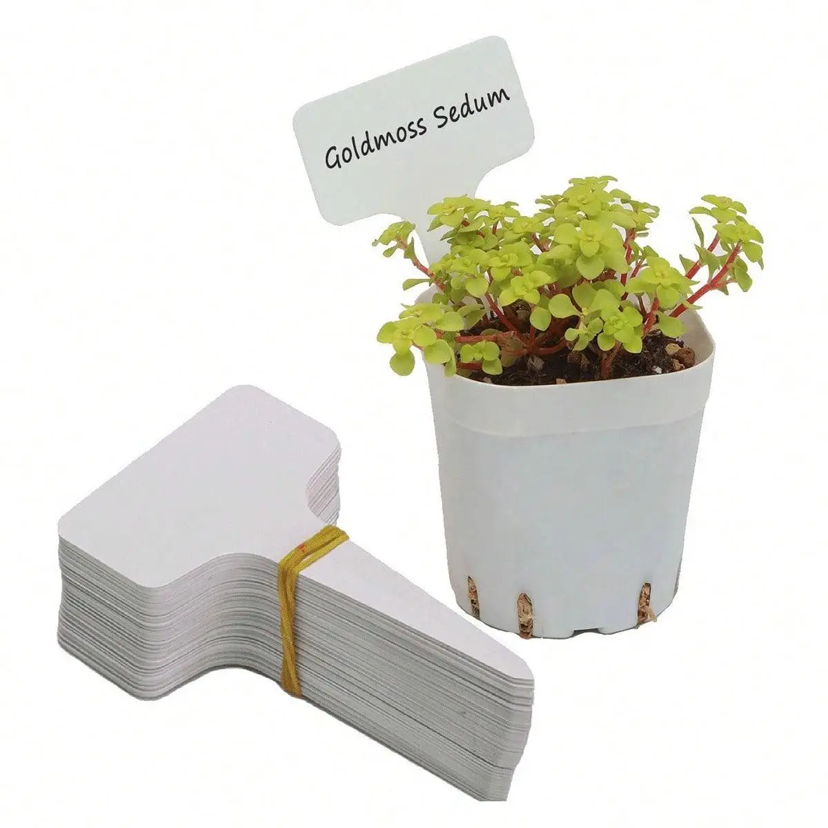 Arbitrary Bending Garden Plant Marker, T-type Design Plastic Gardening Label, Durable Garden Tool for Marking Plants