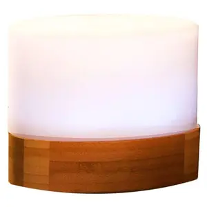 SPT Ultrasonic Aroma Diffuser/Humidifier with Bamboo Base