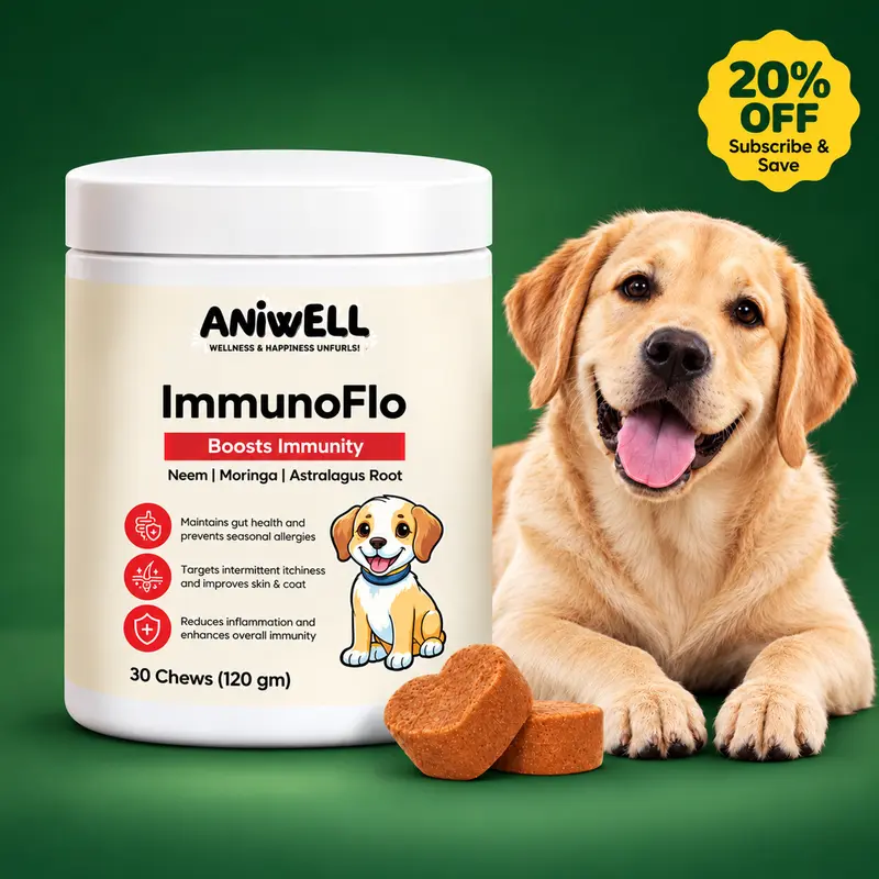 Aniwell ImmunoFlo: Natural Health Supplement for Dogs