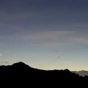 Greenmile Technology