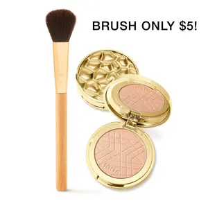 tarte Amazonian clay shimmering light highlighter & brush tarte Amazonian clay shimmering light highlighter & brush