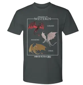 House of the Dr#gon of Westeros T-Shirt is perfect for any dragon lover, streetwear outfits, Gift for him and her