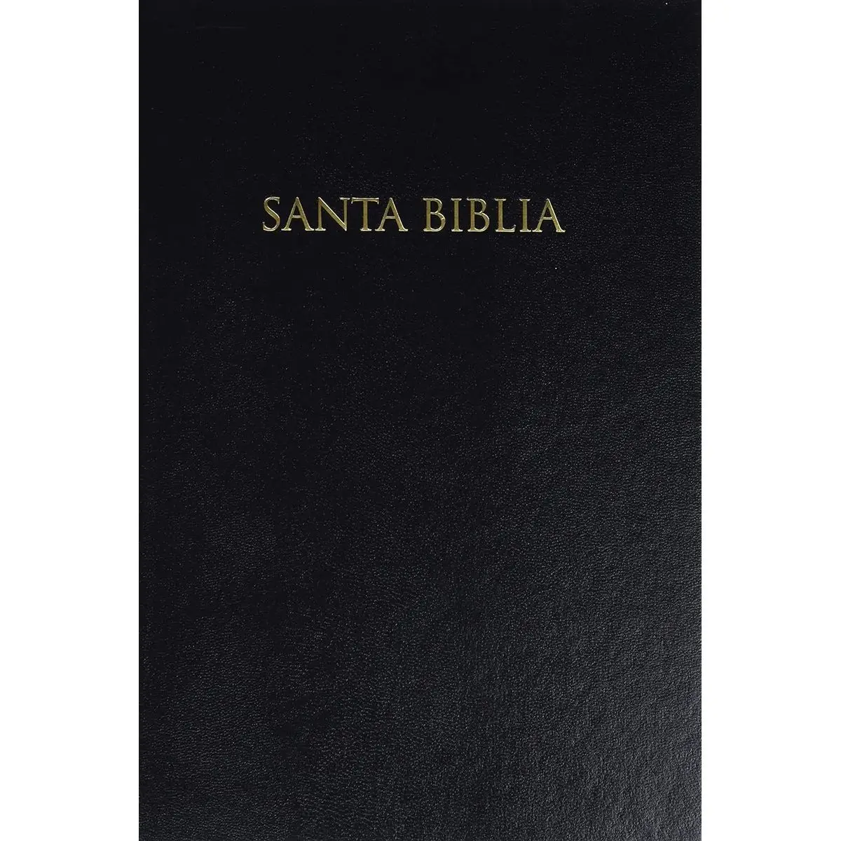 RVR 1960 Gift Bible - Black Hardcover, Spanish Reina Valera - Spanish – Illustrated, January 1, 2016